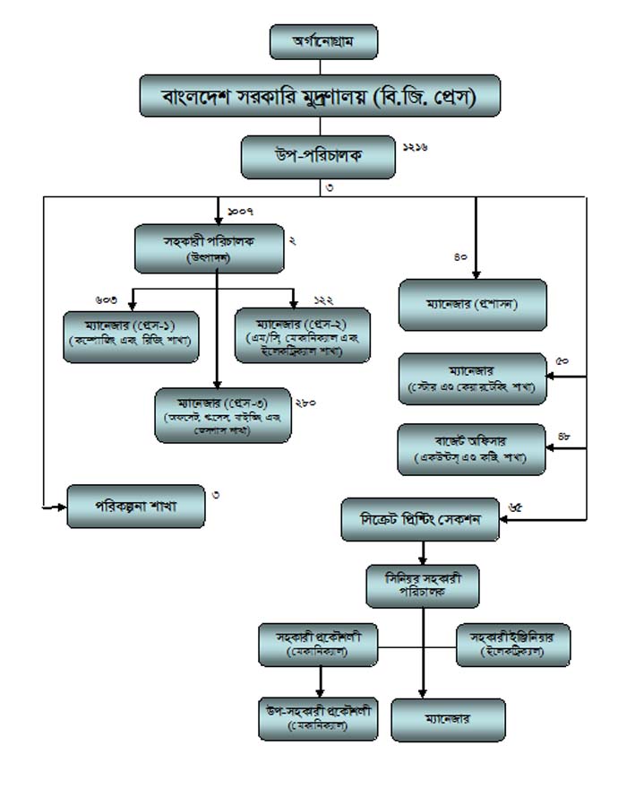 Organogram