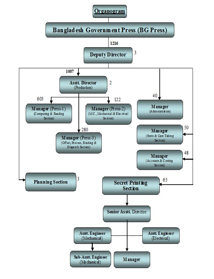 Organogram