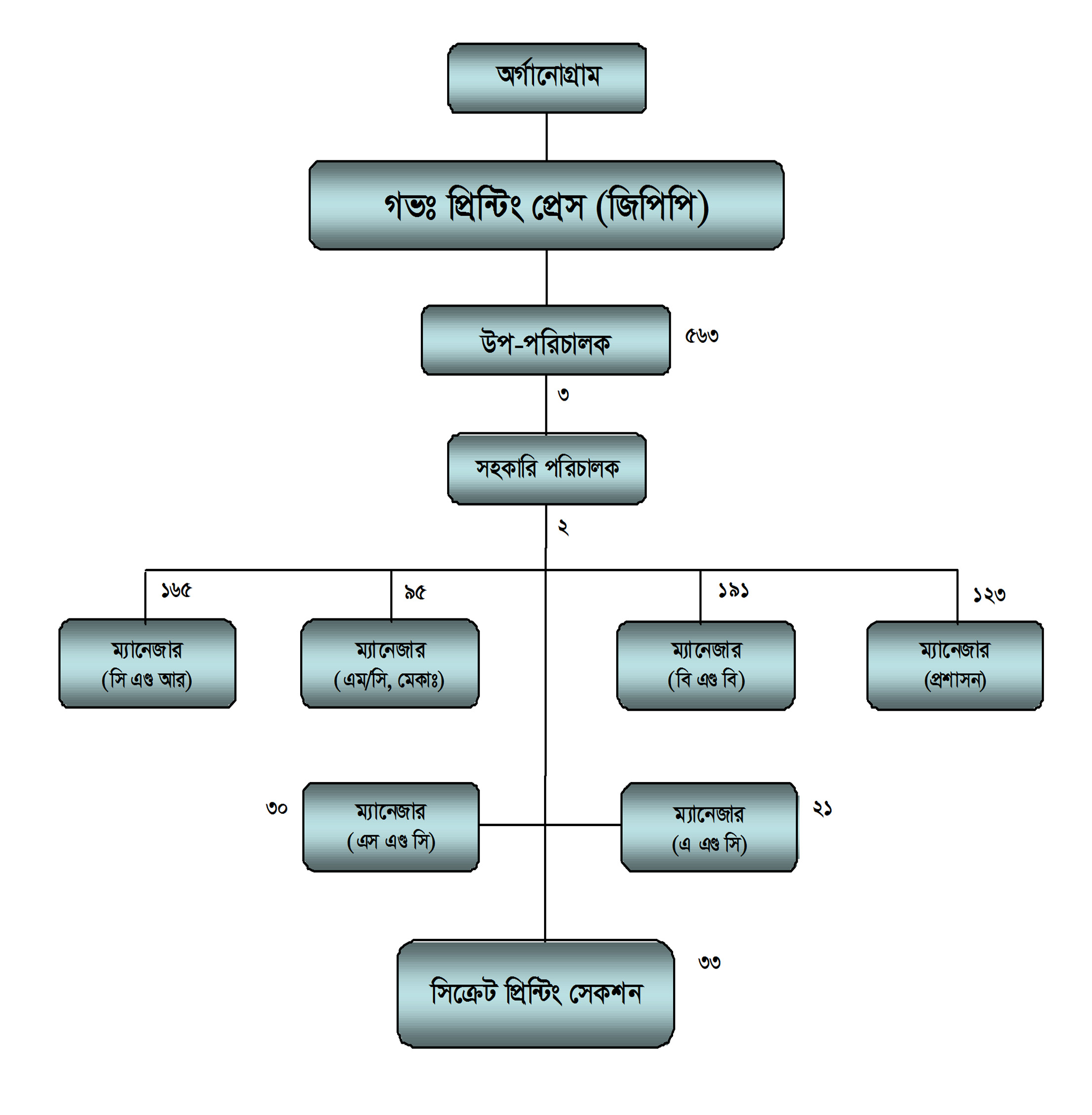 Organogram